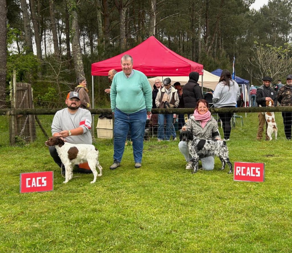 De La Pointe De Roumagnac - Exposition Canine spéciale de race à Mont de Marsan